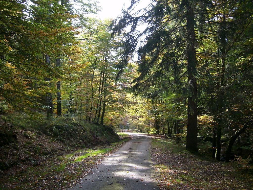 Chalet Du Montal Dun-les-Places Ruang foto